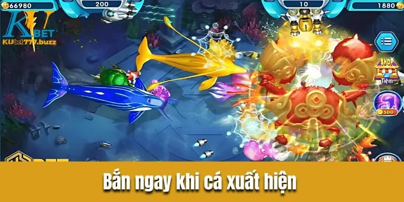 Bắn ngay khi cá xuất hiện 