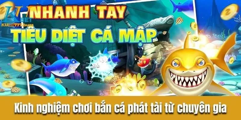 Bật mí kinh nghiệm chơi bắn cá phát tài từ chuyên gia