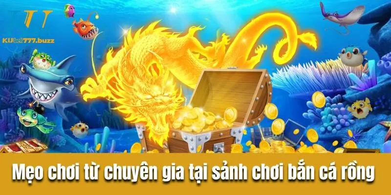 Bật mí mẹo chơi từ chuyên gia trong sảnh chơi bắn cá 