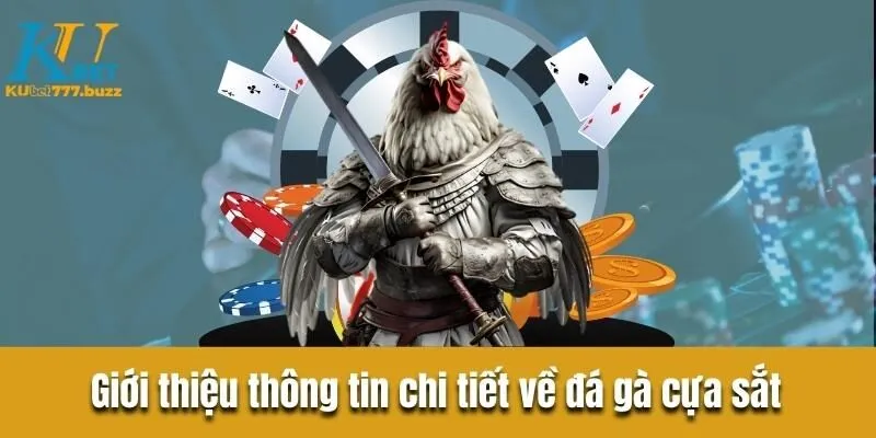 Đá gà cựa sắt