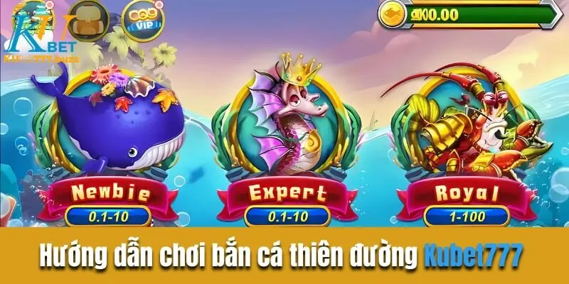 Hướng dẫn trải nghiệm bắn cá thiên đường tại nhà cái 