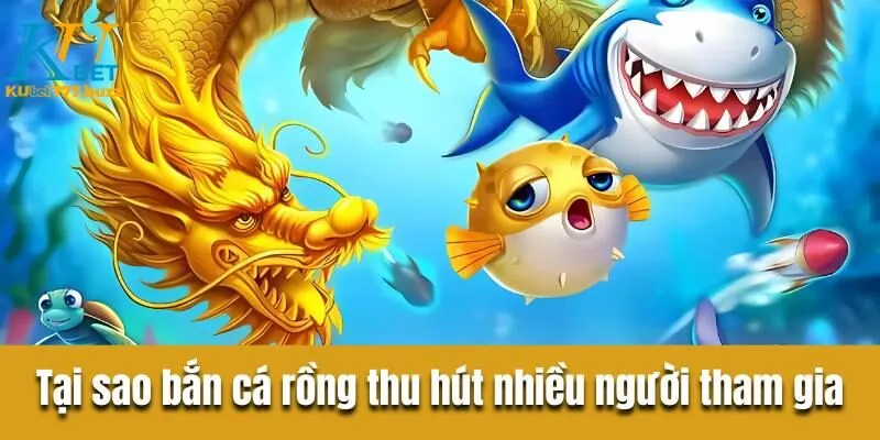 Tại sao trò chơi bắn cá rồng thu hút nhiều người tham gia