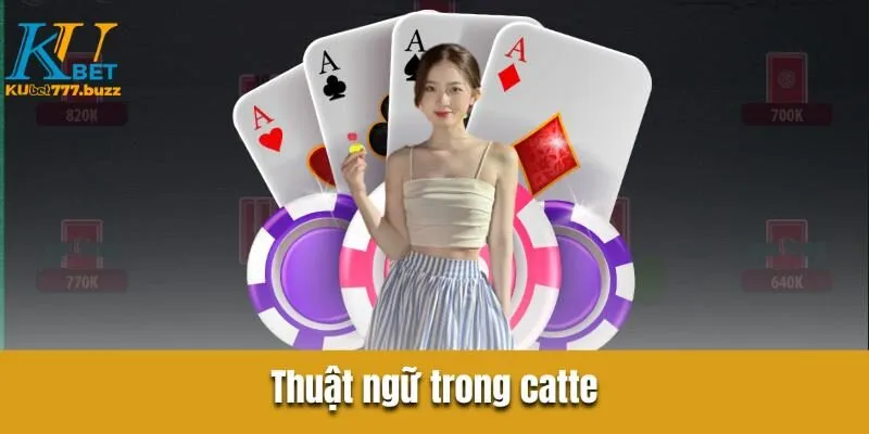 Những thuật ngữ trong bài catte