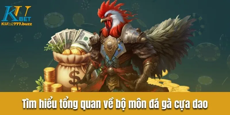 Tìm hiểu tổng quan về bộ môn đá gà cựa dao